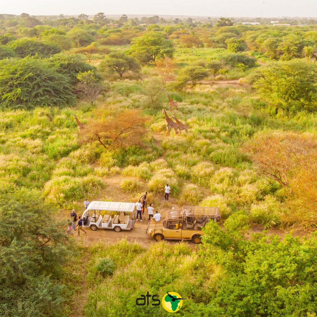 Africa-ranch-de-bandia-ats-africa-tourism-solutions-1