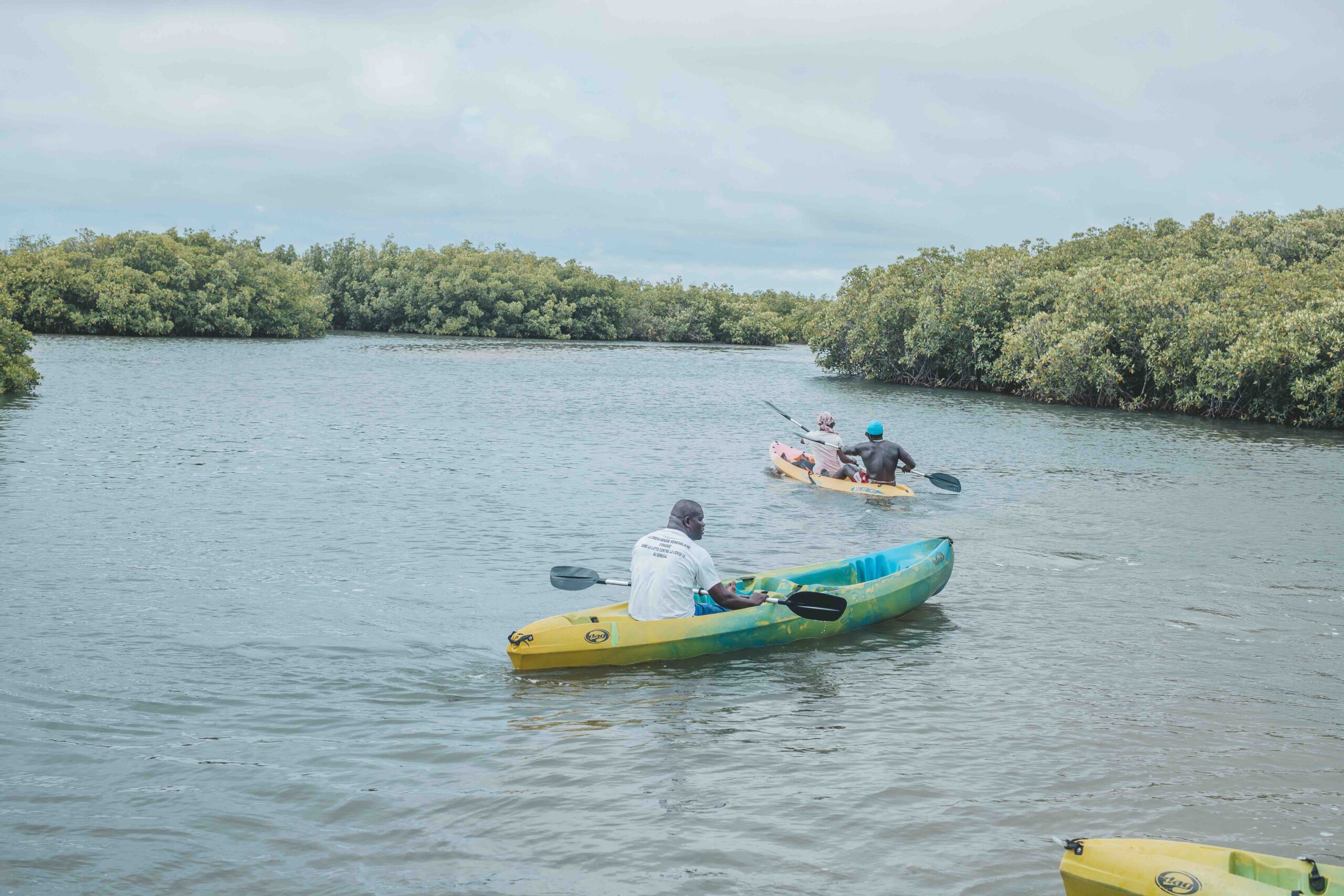Sine Saloum Ndagane, Mar Lodji, Palmarin – Image 2
