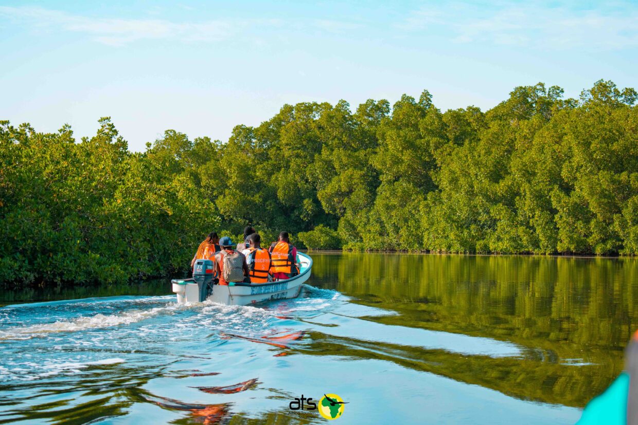 The Saloum Islands – Africa Tourism Solutions