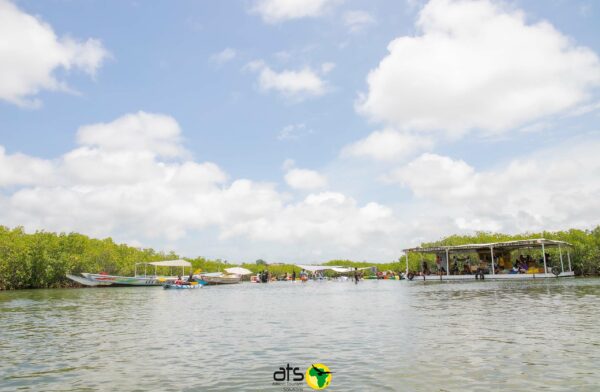 Saloum Islands - Image 2