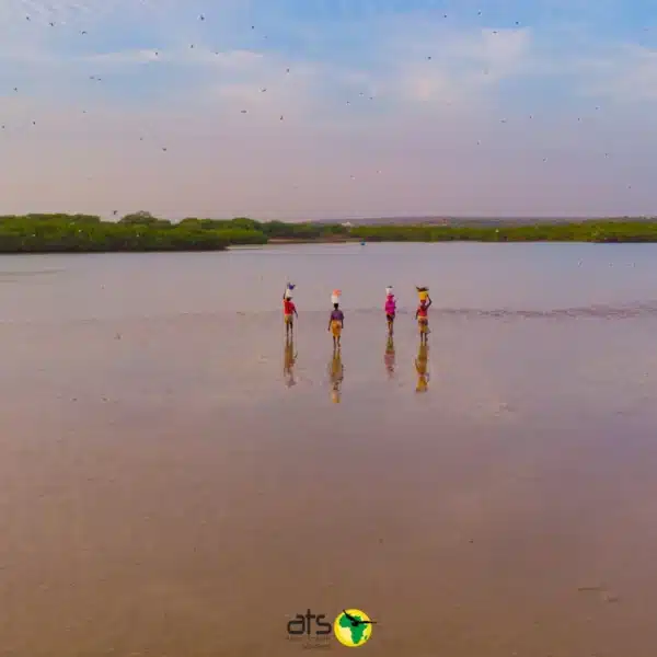 Somone-Royal-Horizon-Baobab-Avec-Ats