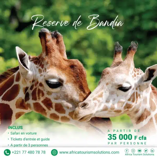 lune-de-miel-reserve-de-bandia