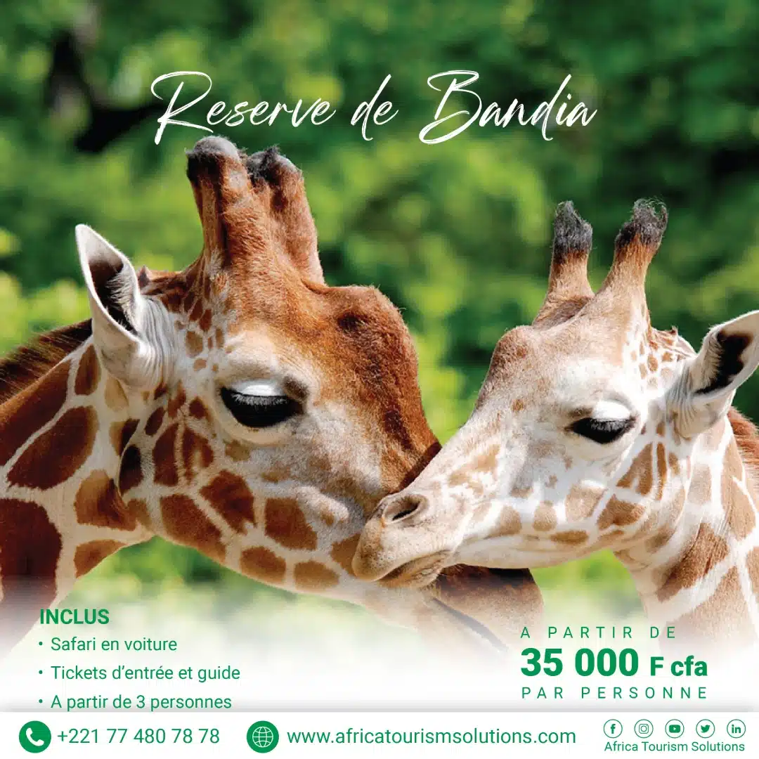 lune-de-miel-reserve-de-bandia
